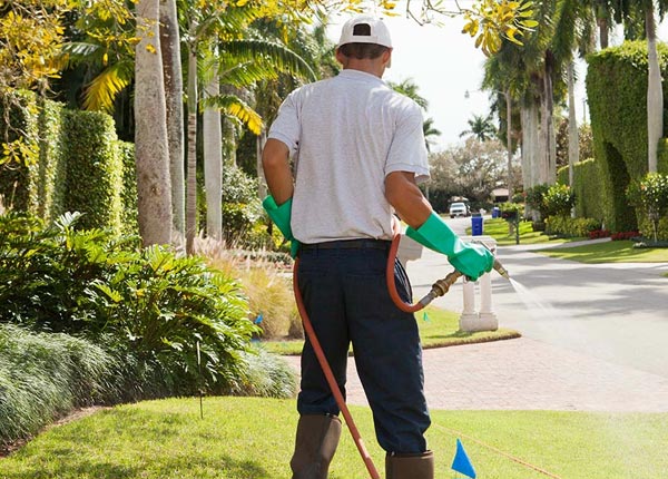 About Roselle NJ Pest Control Pros